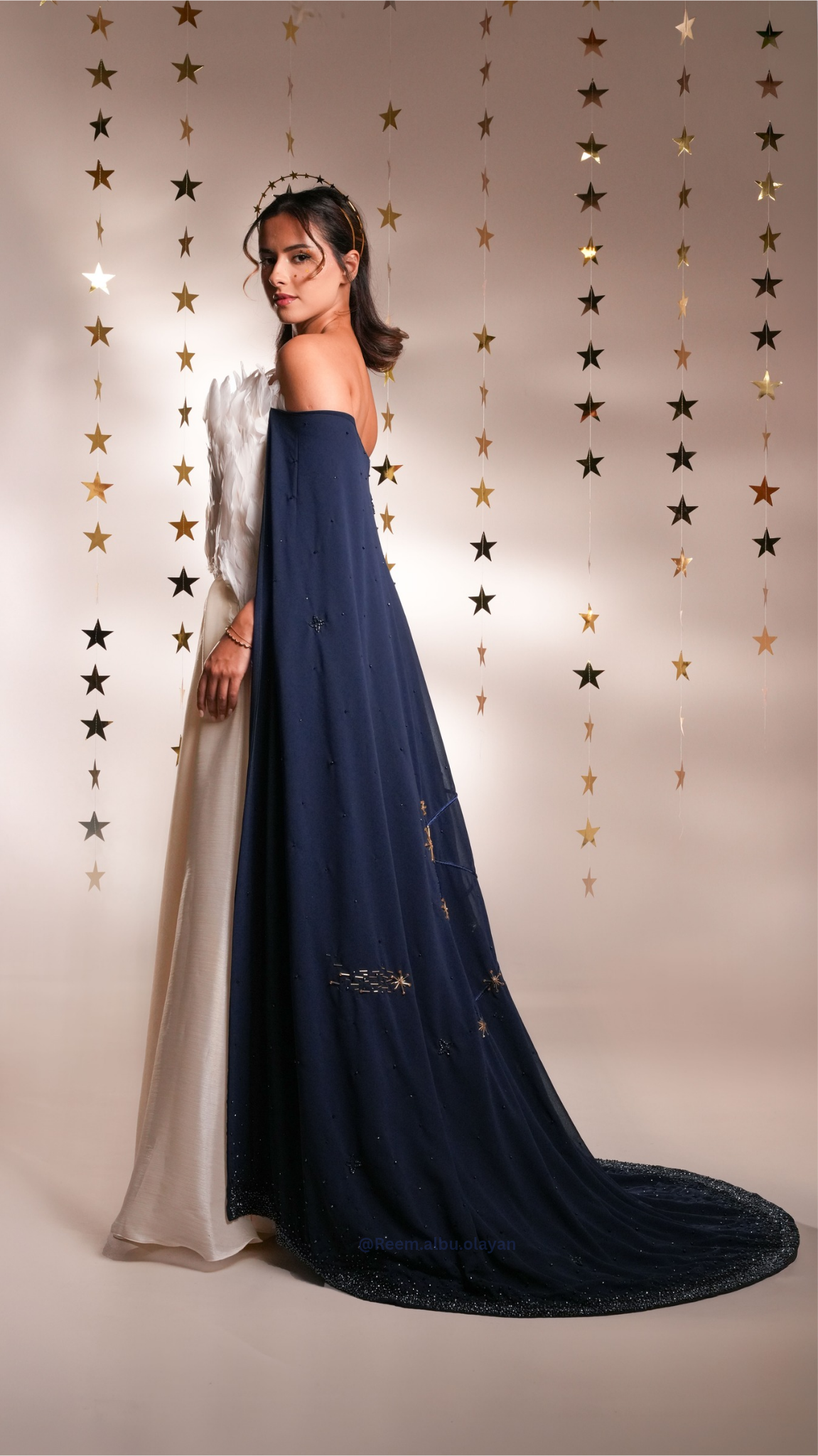 صورة مشروع أسترنيس 5